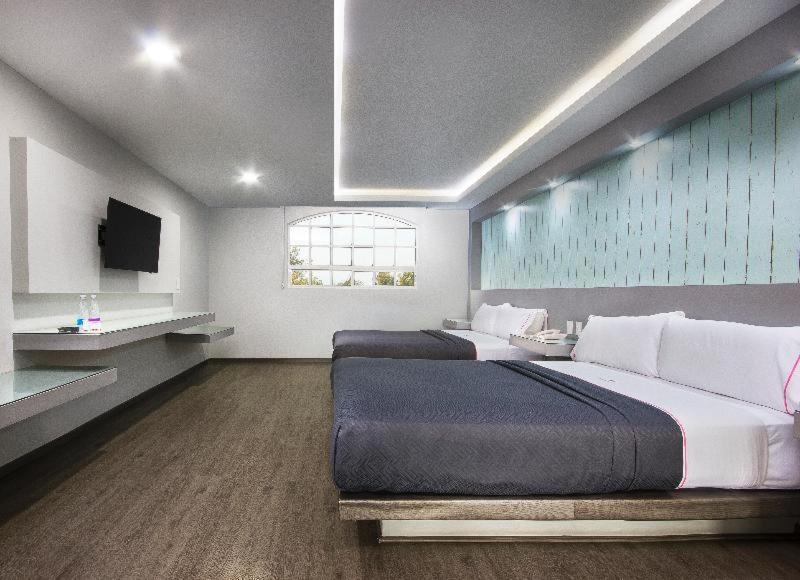 Hotel Mx Congreso Mexico City Phòng bức ảnh